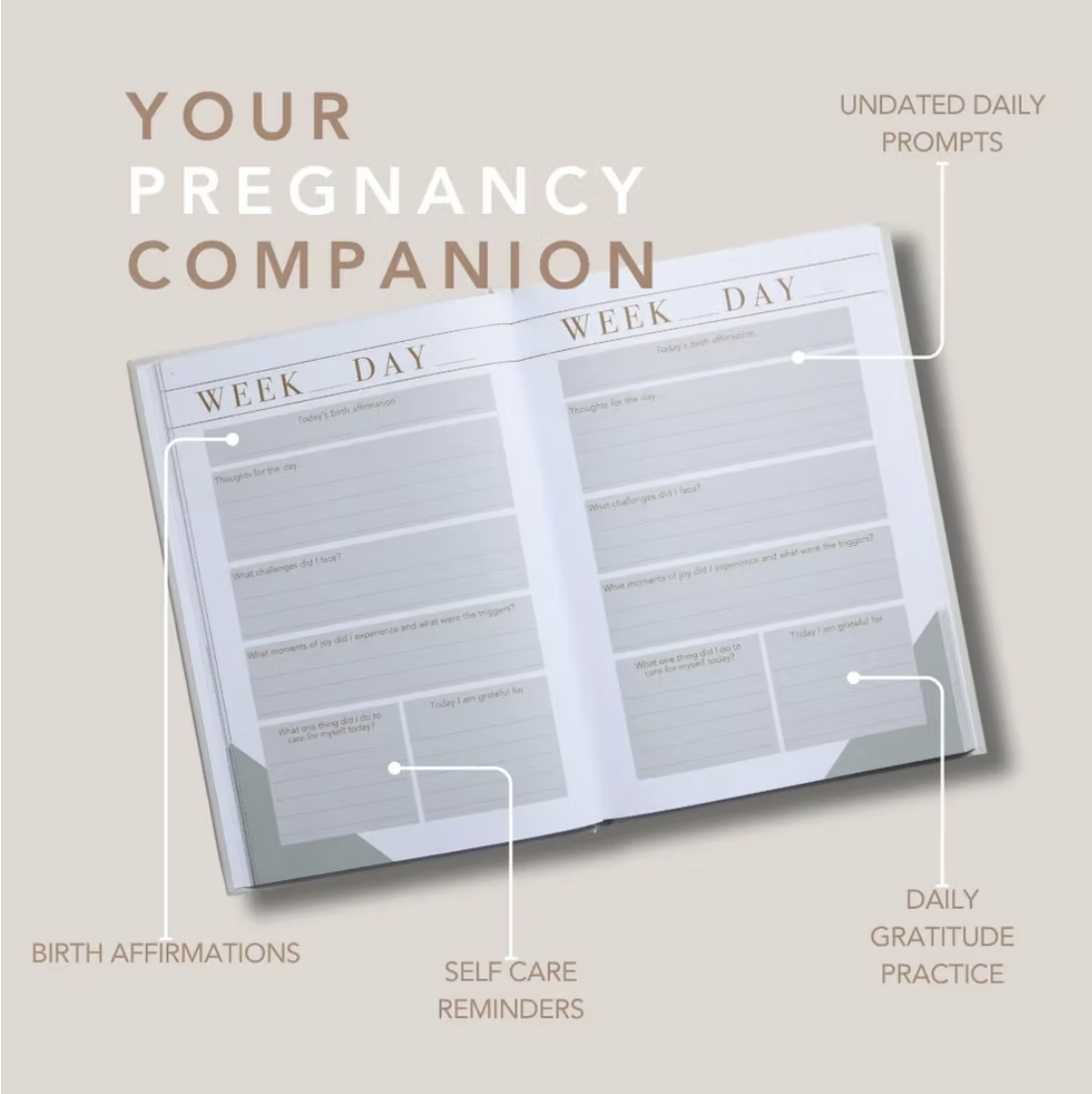 Screenshot 2026-01-28 at 14.25.46.png