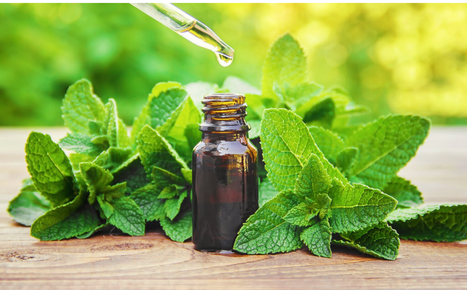 5 Health Benefits of Peppermint