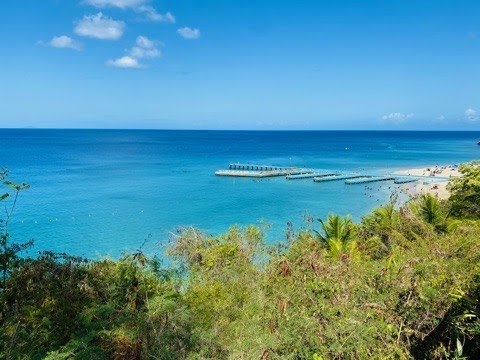 Puerto Rican Adventure into Plant-Based, Living Foods