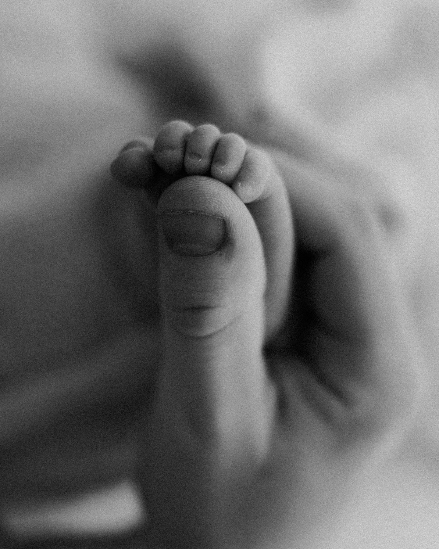 There is nothing more evocative than a picture to bring back all the emotions of a moment.

Yes, we often describe the motherhood journey but of course there is space for every member of the family in a newborn session. 
A newborn session is an unfor