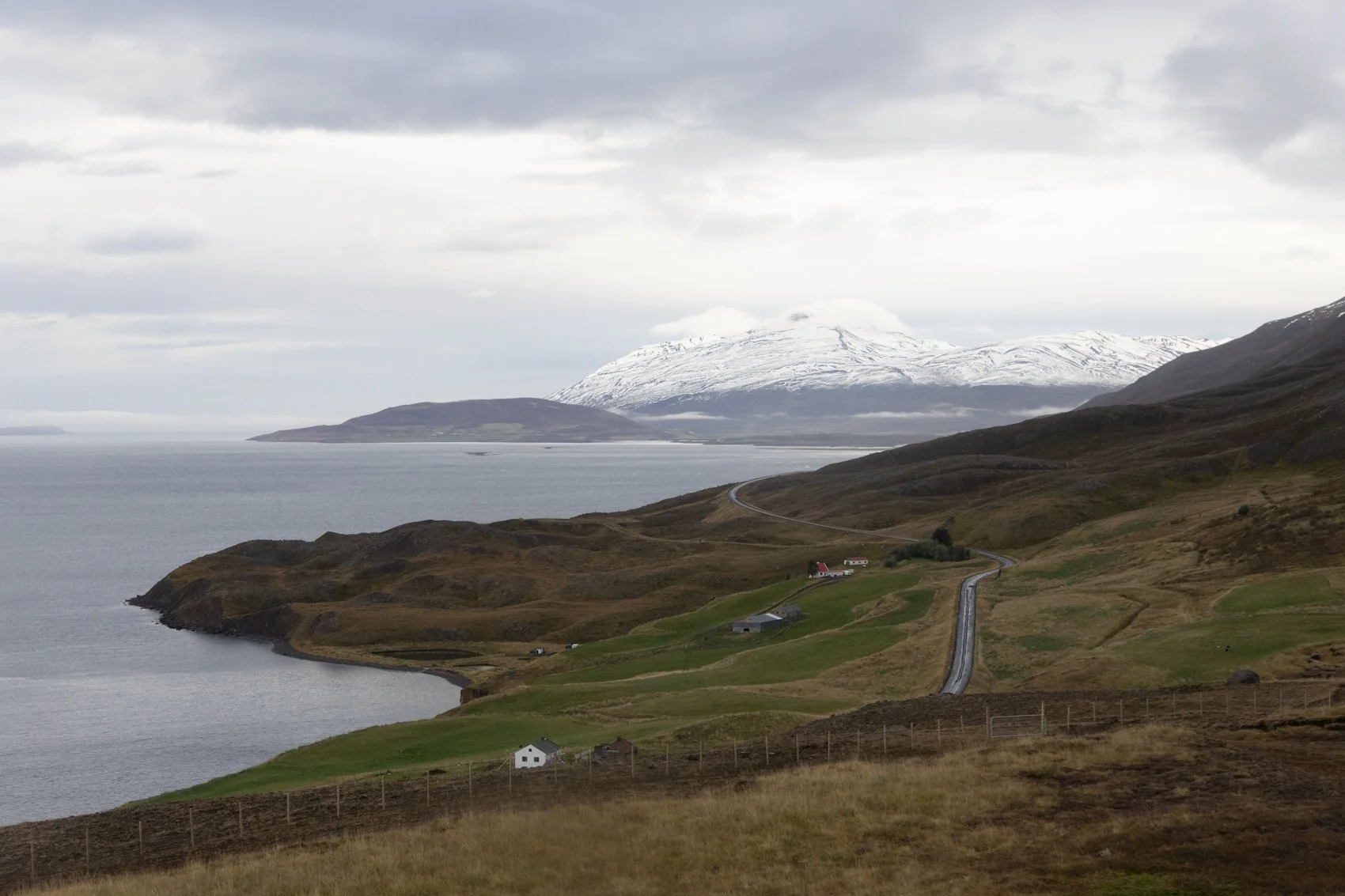 ICELAND PEOPLE +132.jpg