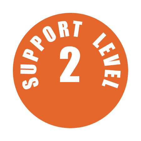 LEVEL 2 BUTTON.png