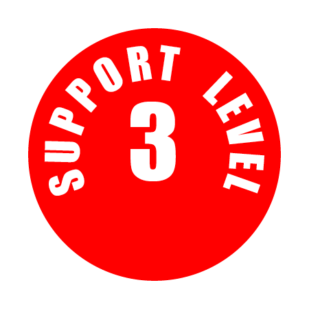 LEVEL 3 - BIG DREAMS 2025
