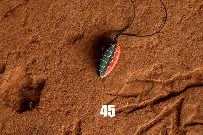 45.jpg