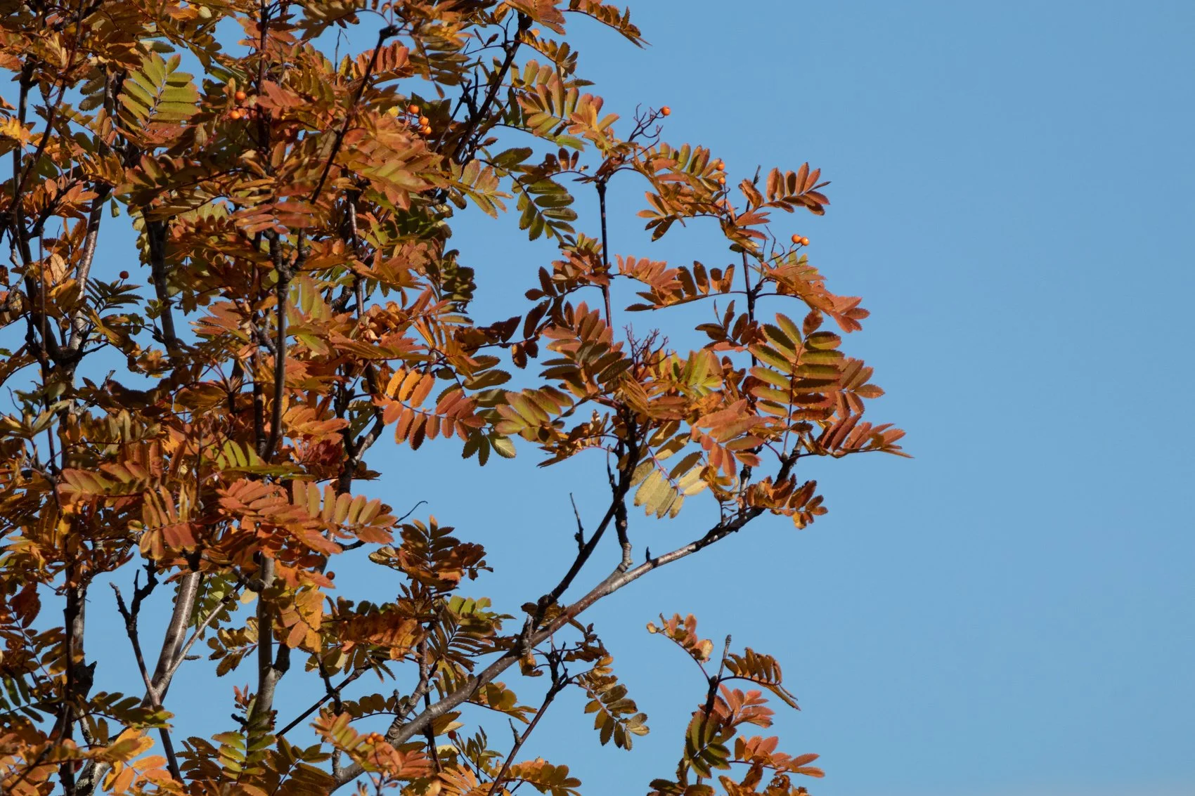 ICELAND PEOPLE +006.jpg