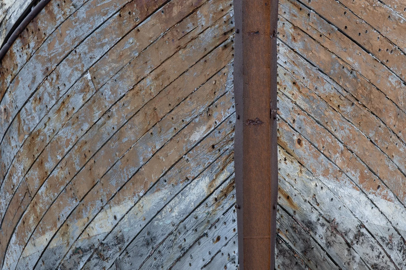 ICELAND PEOPLE +058.jpg