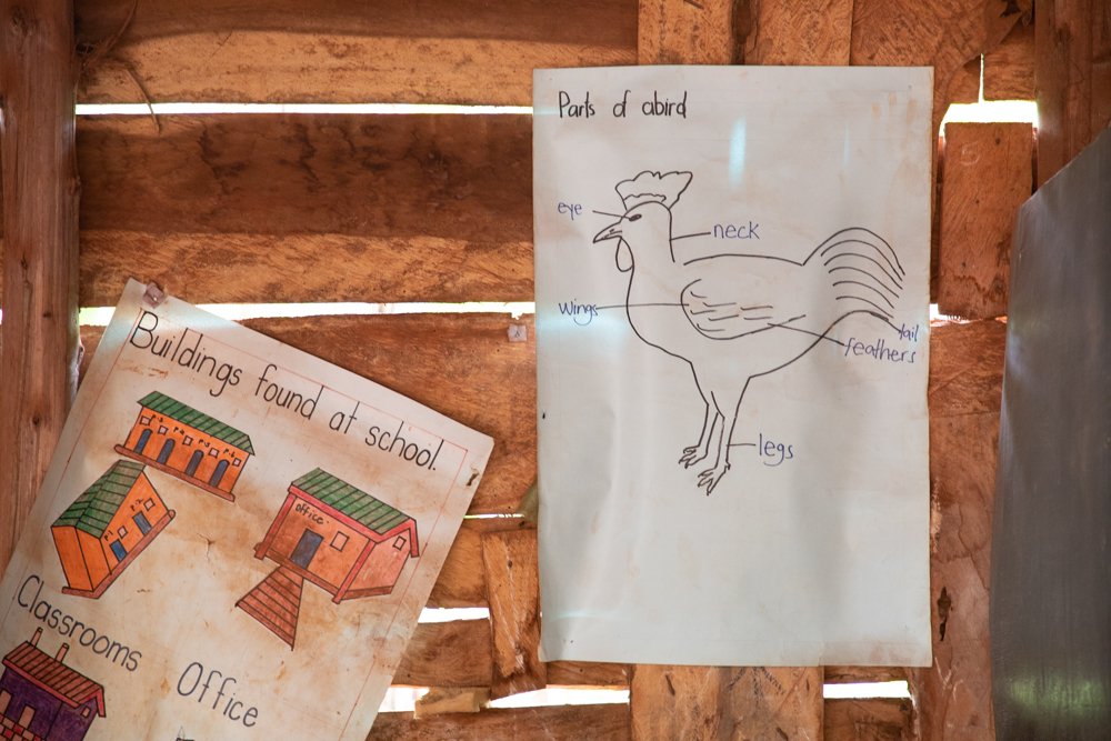 TENDA_UGANDA__MG_9292142.jpg