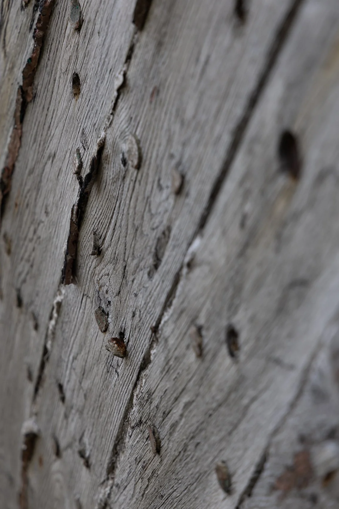 ICELAND PEOPLE +060.jpg