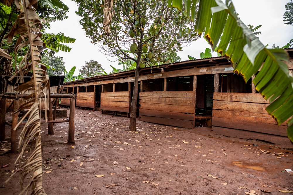 TENDA_UGANDA__MG_9302151.jpg