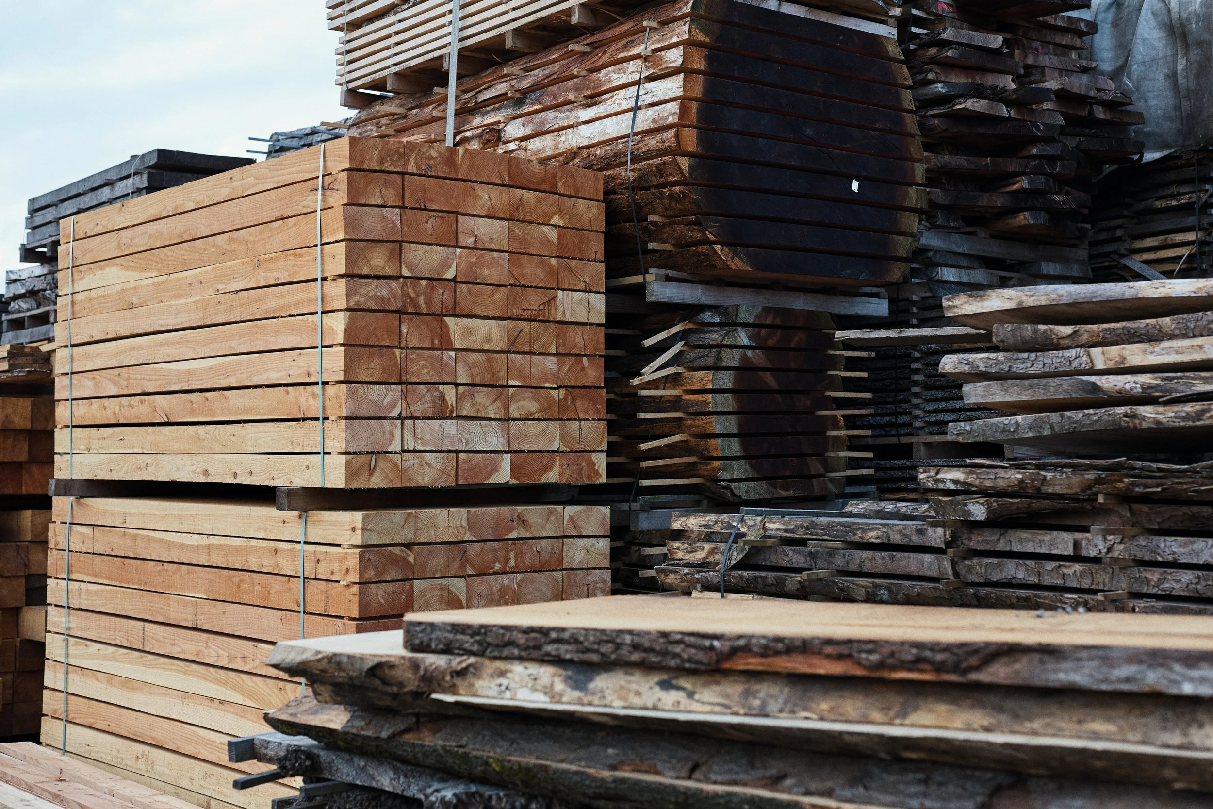 AlbionTimber2865 1.jpg