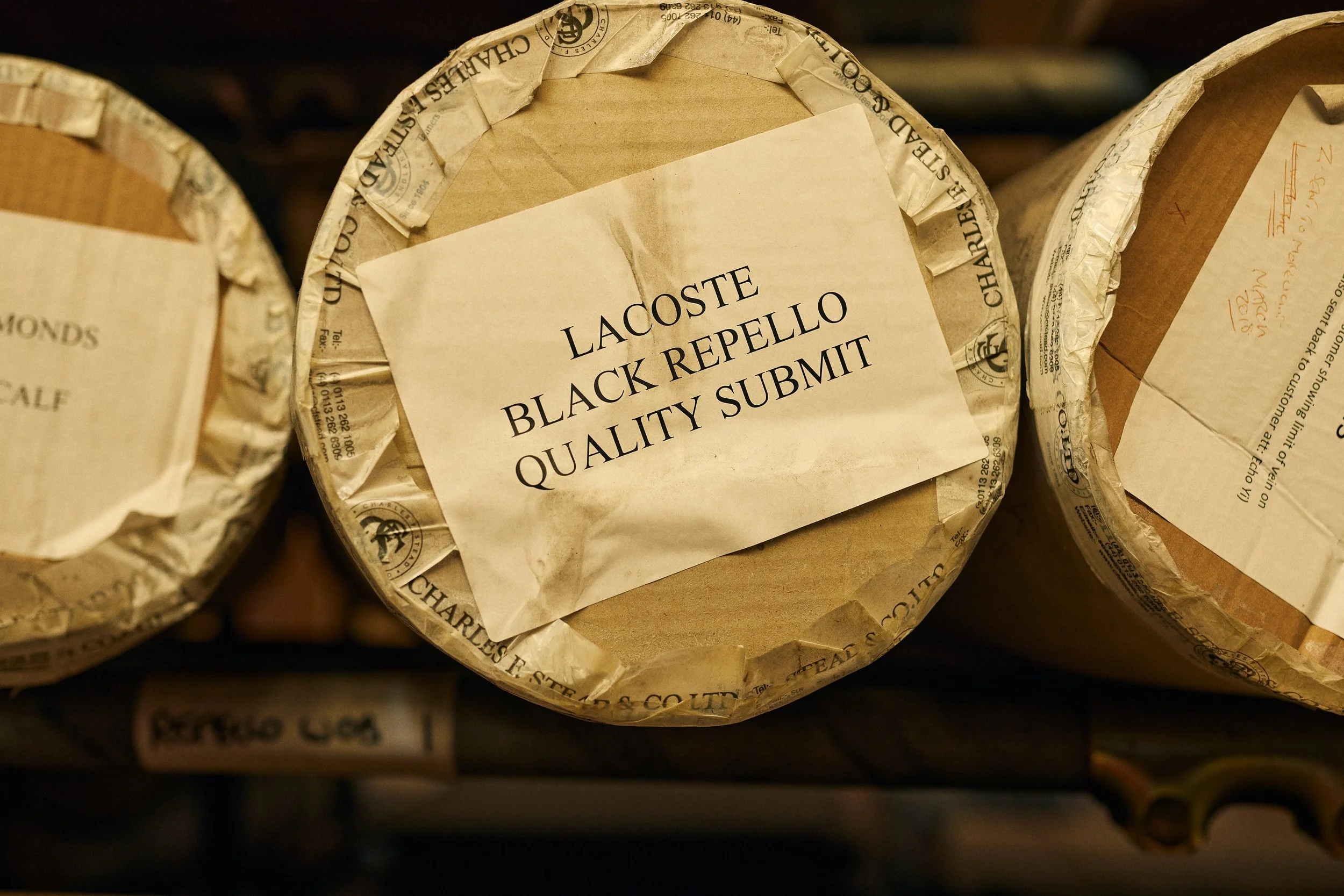 CFStead_Jan23_025 2.jpg