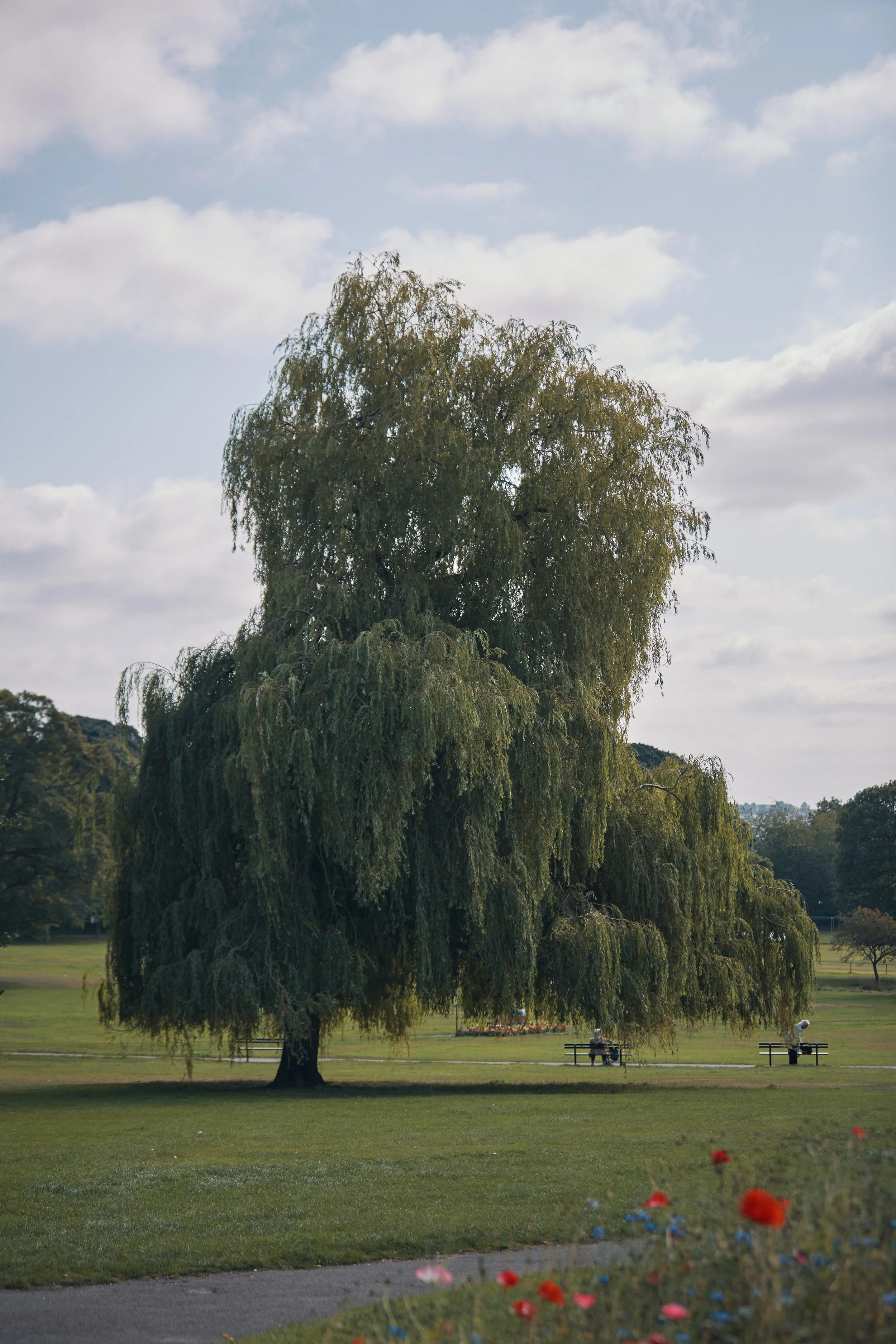 Strata_Horsforth_Hall Park_03.jpg