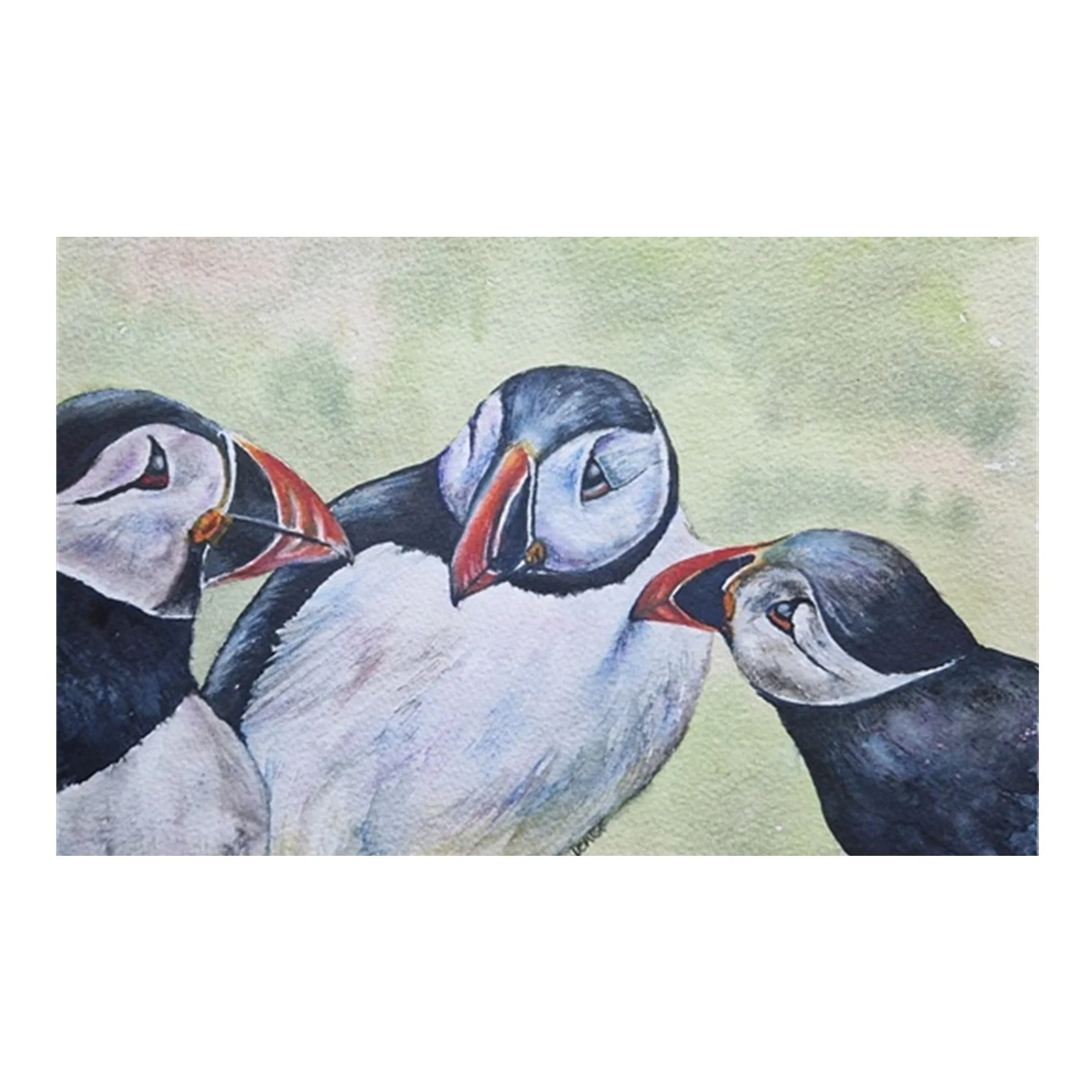 Gossiping puffins