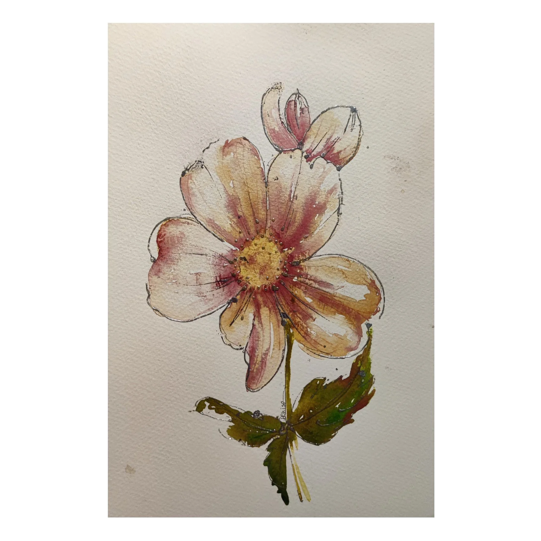dog rose sq.jpg