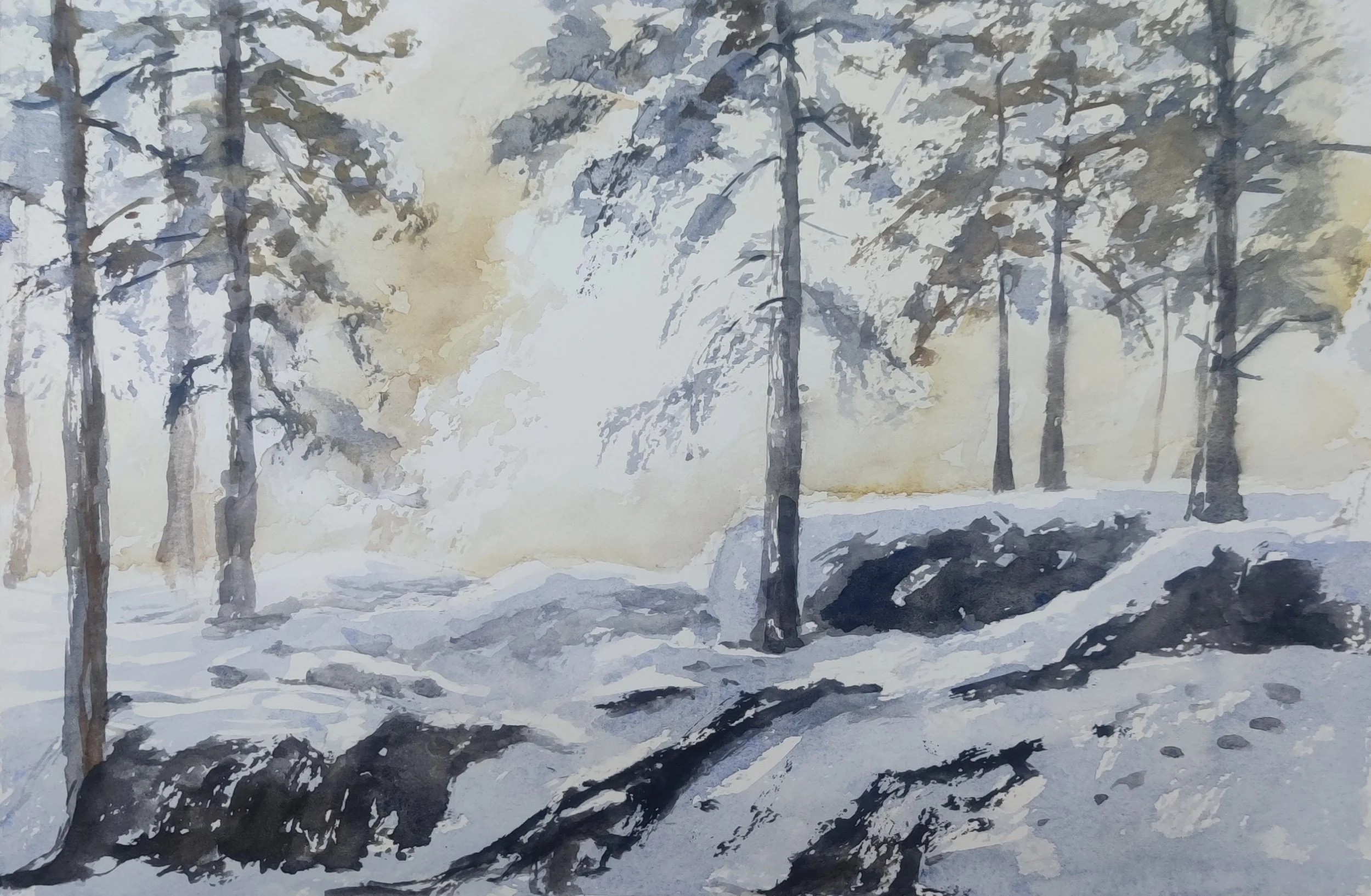 snowy sunset.jpg