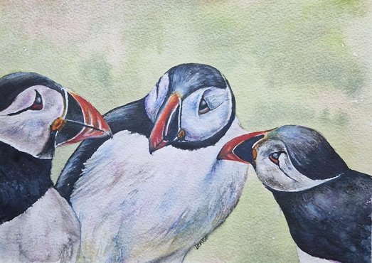 puffins.jpg