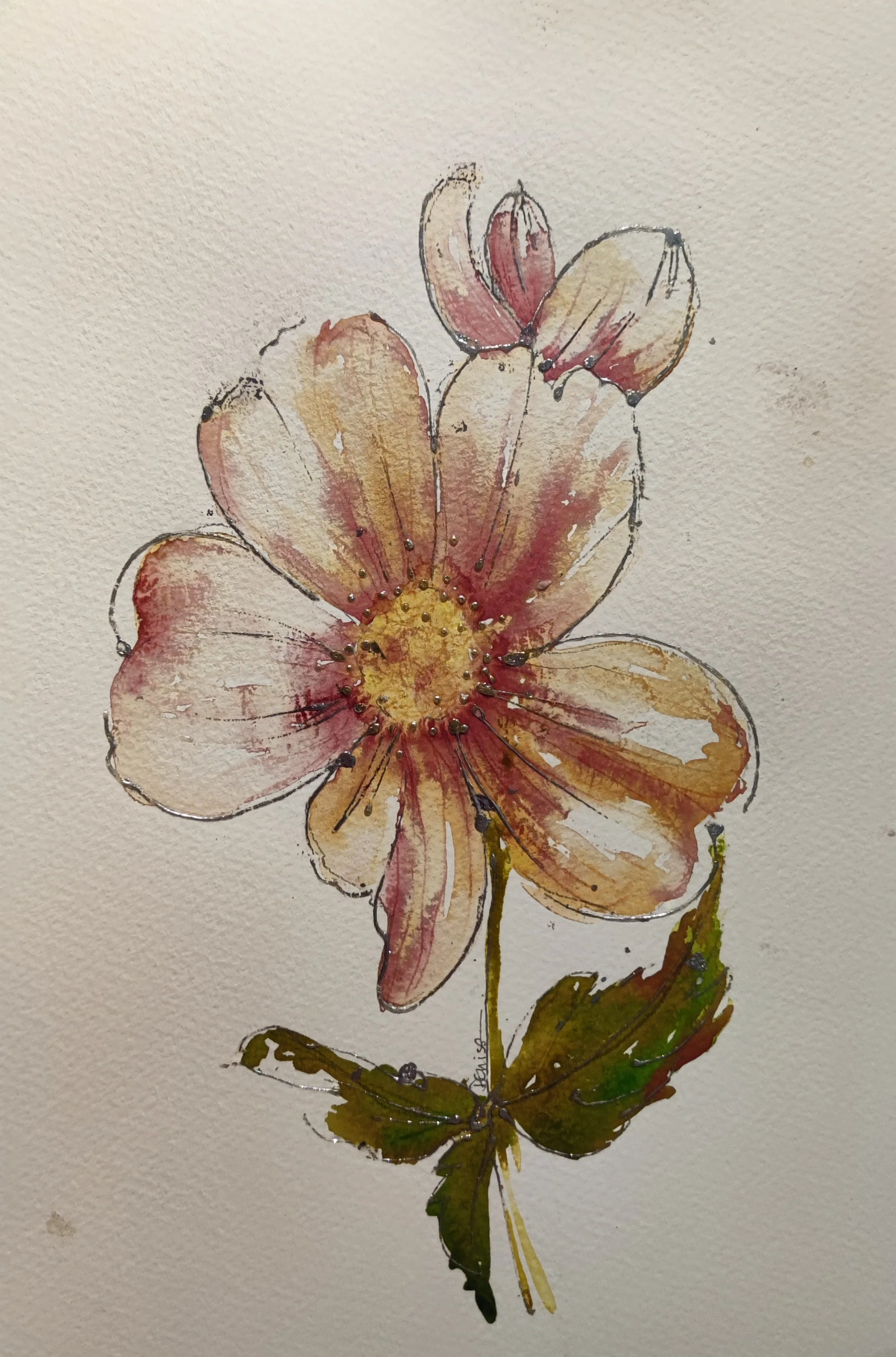 dog rose.jpg