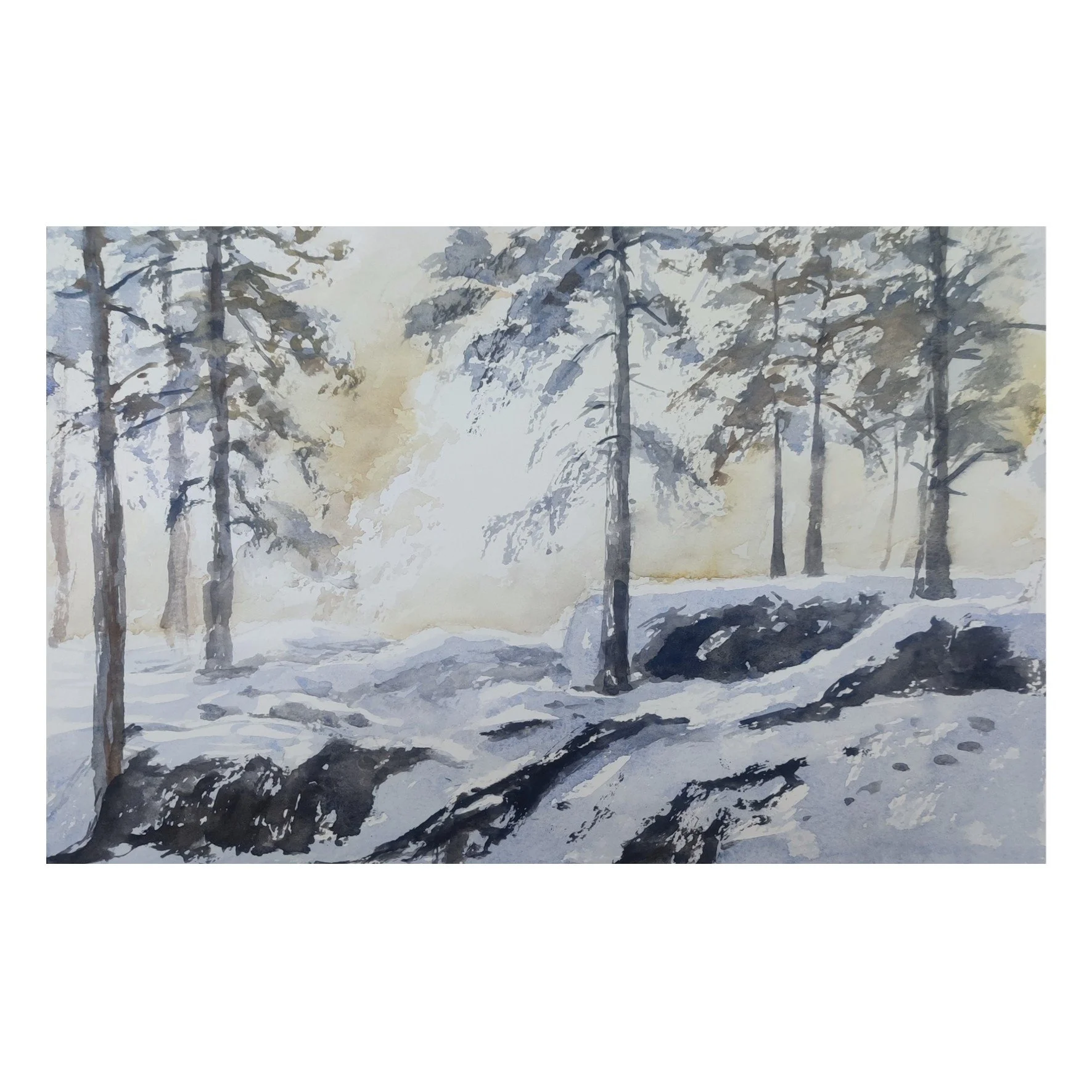 snowy sunset sq.jpg