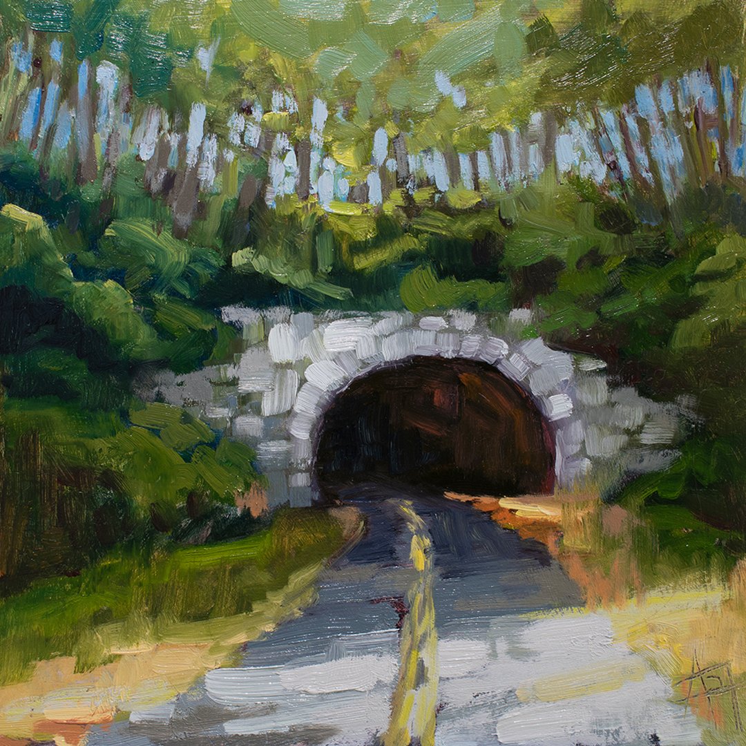 Blue Ridge Tunnel, oil on panel. I took this photo on a trip to the mountains a few years ago and was inspired to paint it recently. So excited about this weekend and @boylanheightsartwalk! I will be situated in front of the @heightshousenc (they wil