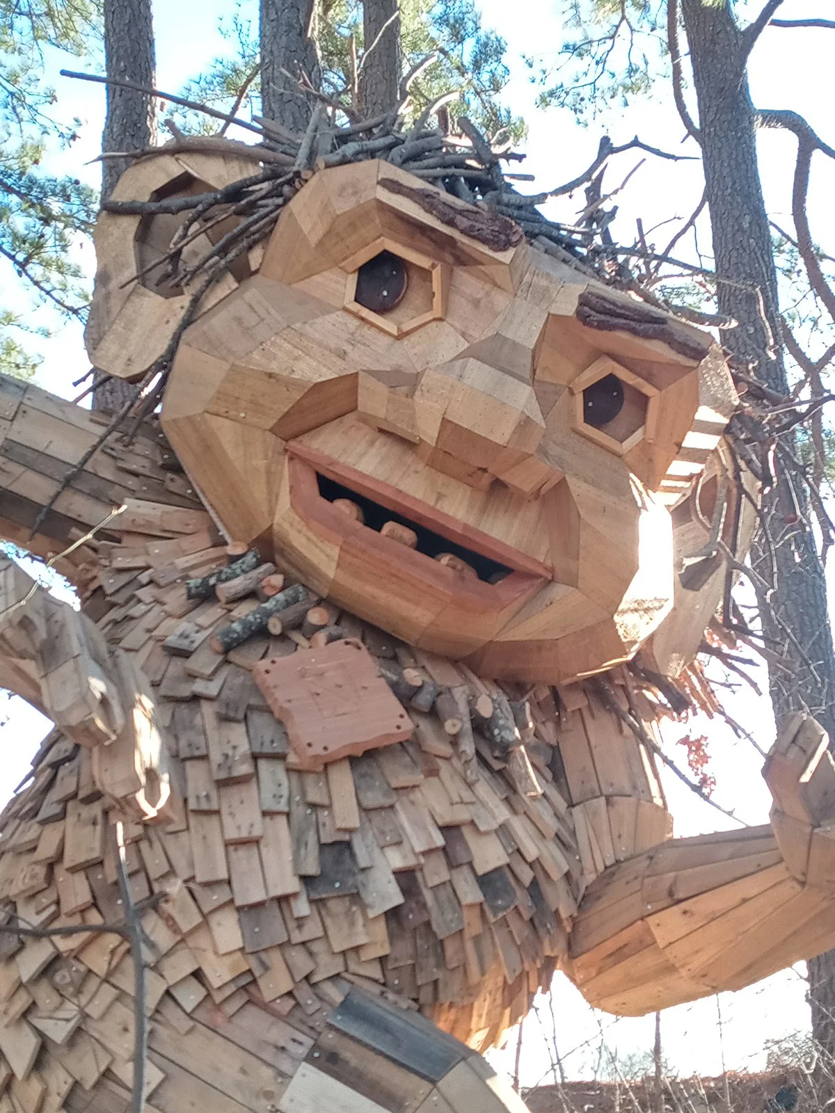 Troll Hunting in Raleigh