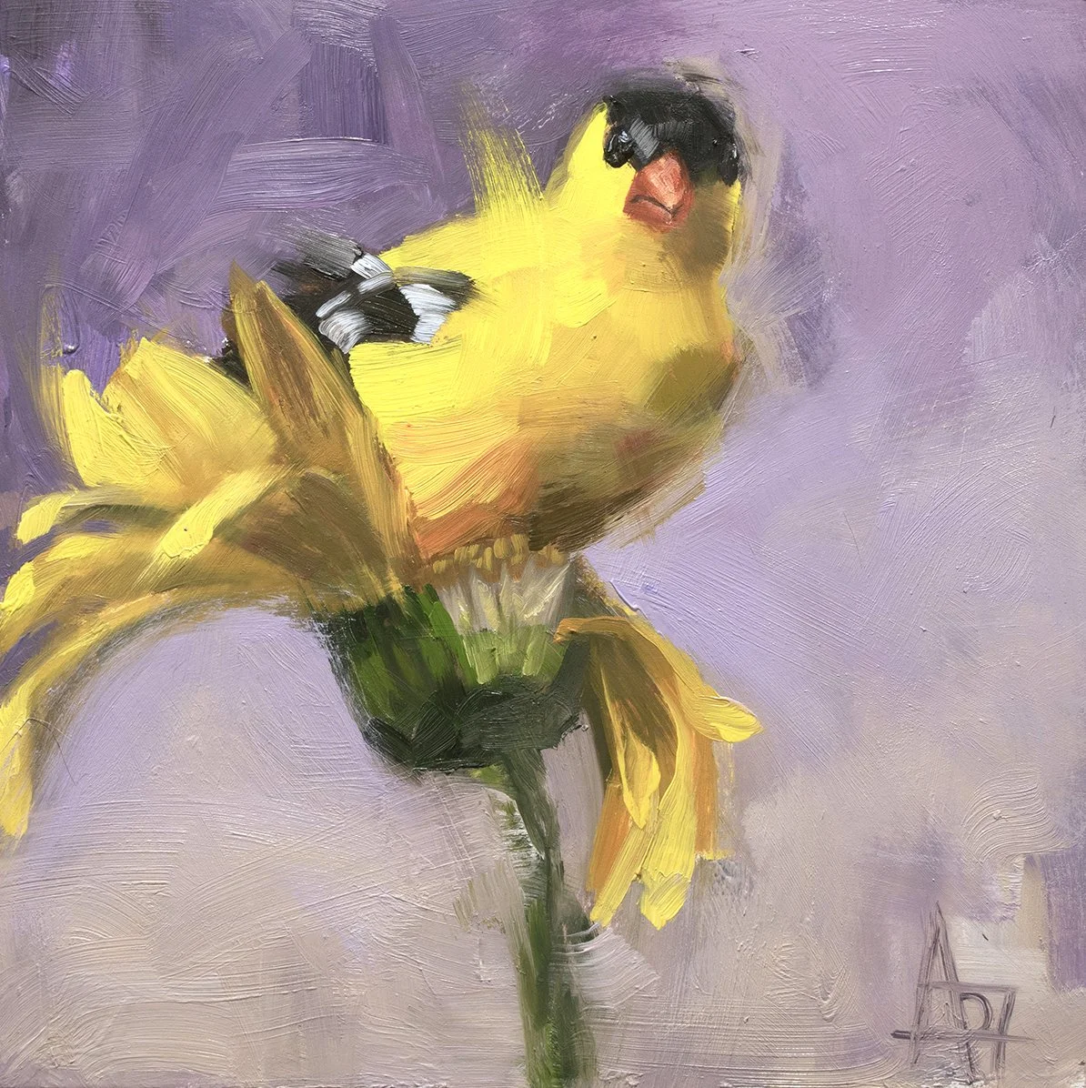 Just Landed, Goldfinch 8" x 8" oil painting on cradled panel, ready to hang or sit on a shelf