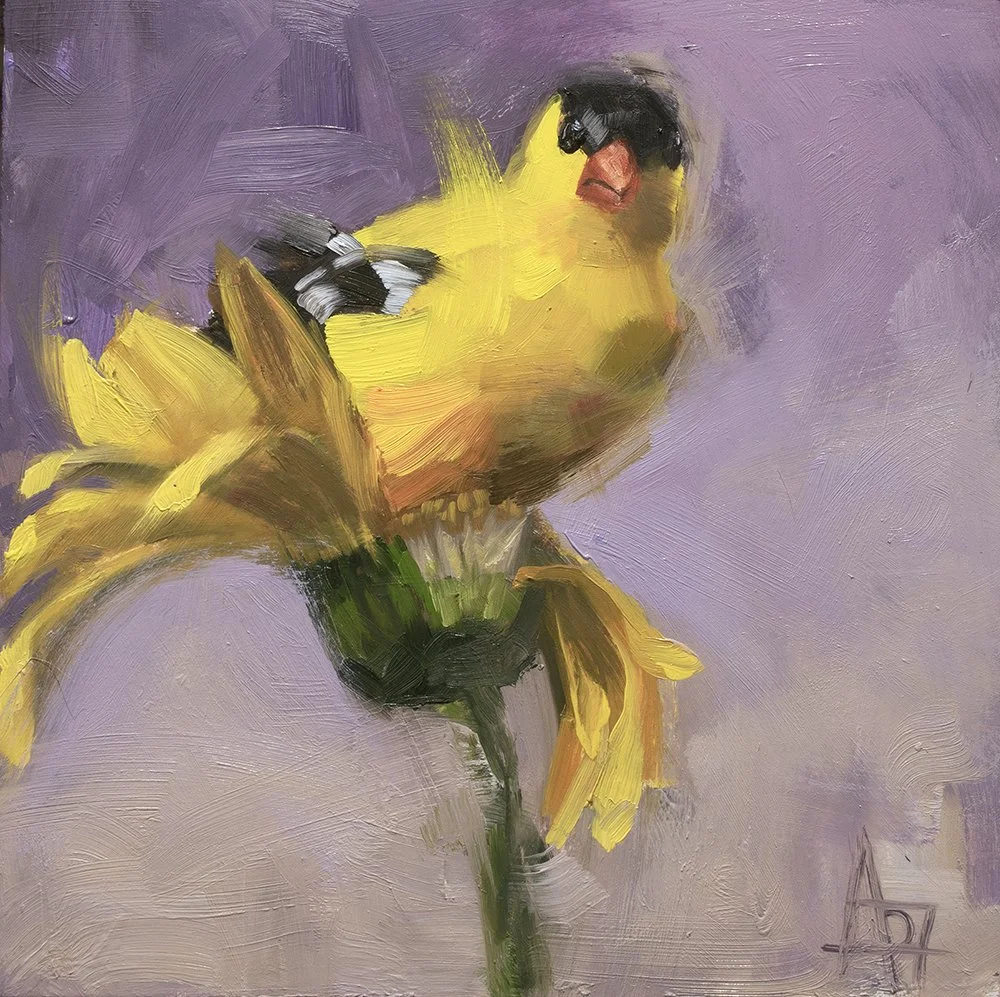 Just Landed, Goldfinch 8" x 8" oil painting on cradled panel, ready to hang or sit on a shelf