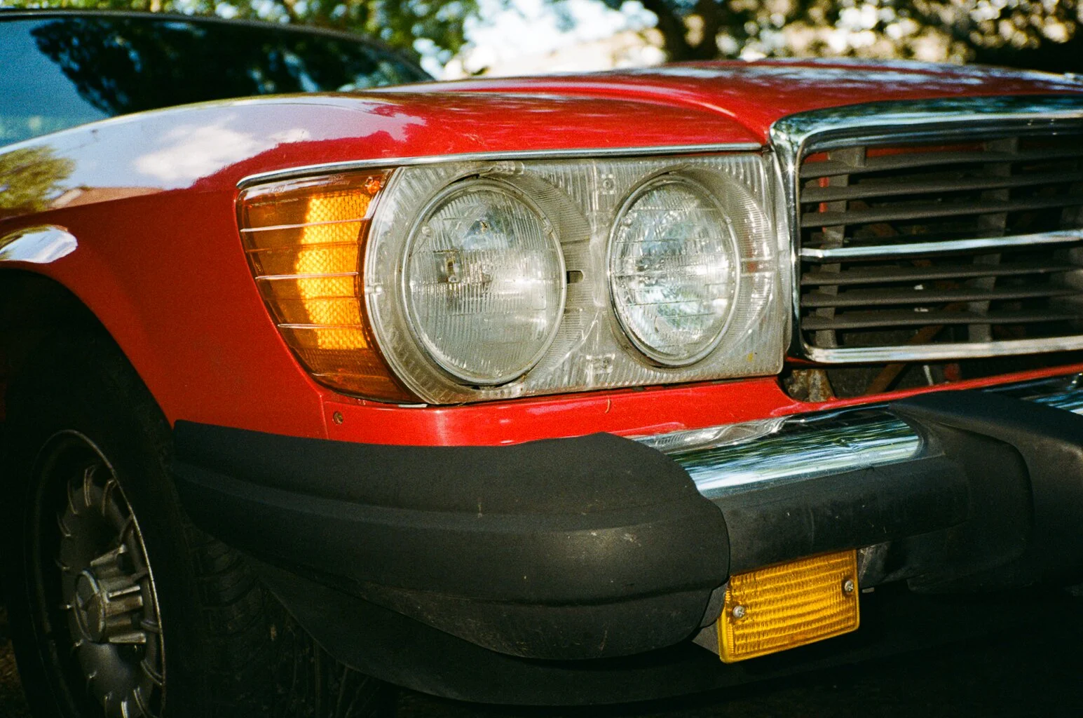 64600019.jpg