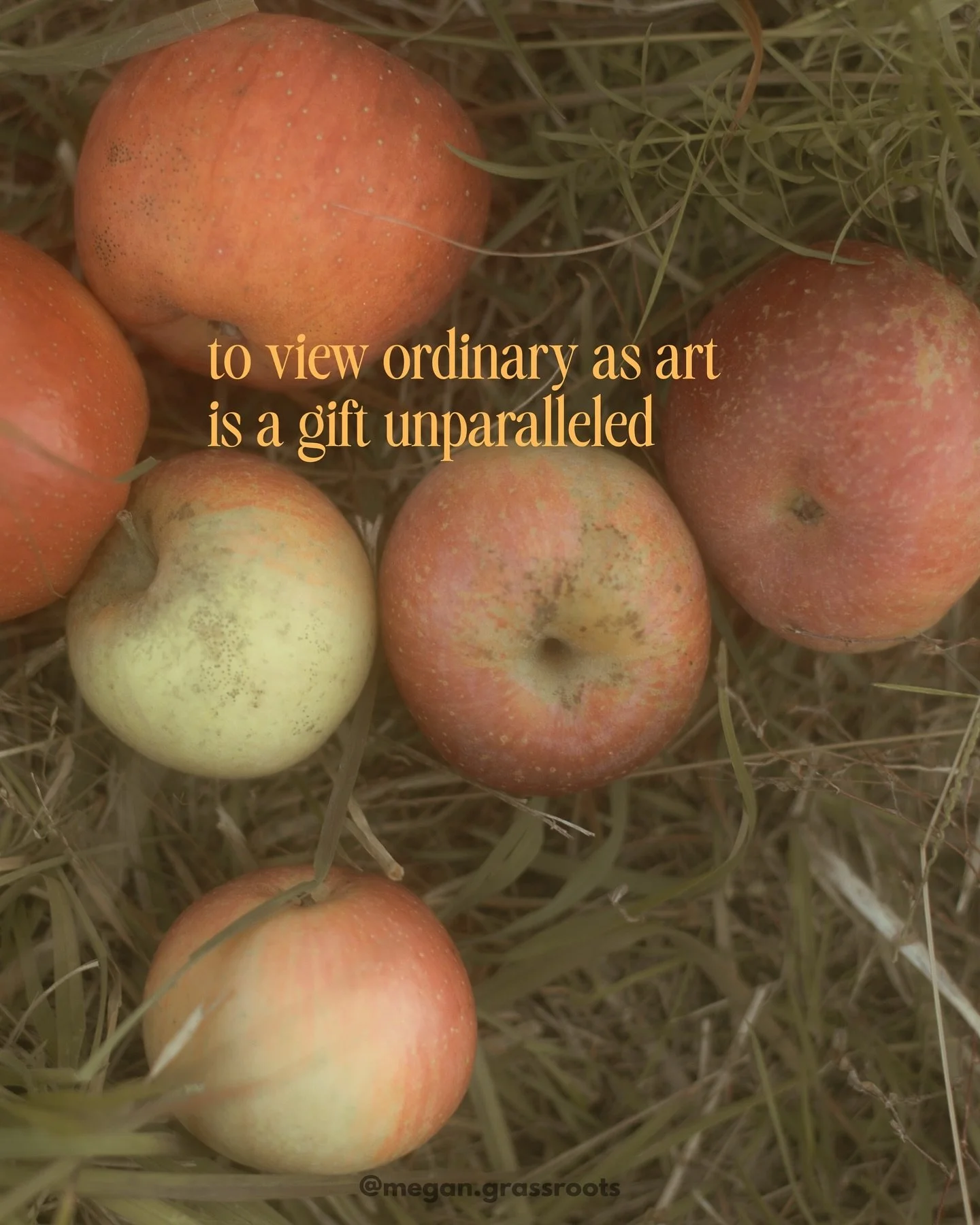 perspective is a superpower. 
im a firm believer that what’s right in front of me is enough, i can find the art in it. it is why i will preach to the high heavens to whoever wants to listen to please come as you are. we are living works of art