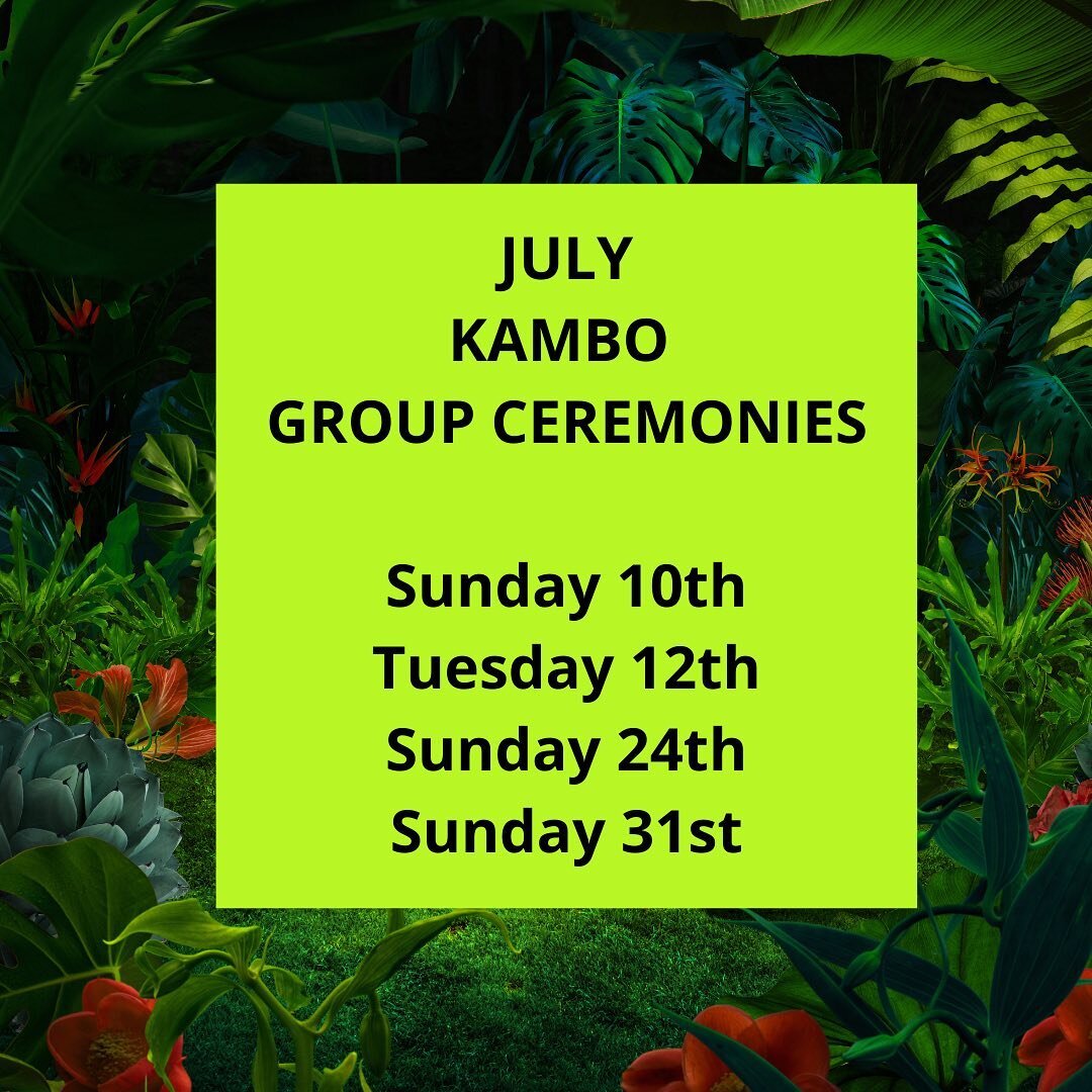 Fancy doing Kambo this weekend or in July? 

At The Kambo Clinic we host small bespoke ceremonies for 4 people max.

This unique experience enables you to feel totally held by your practitioner. Our sessions held by Claire Anstey are deep and profoun