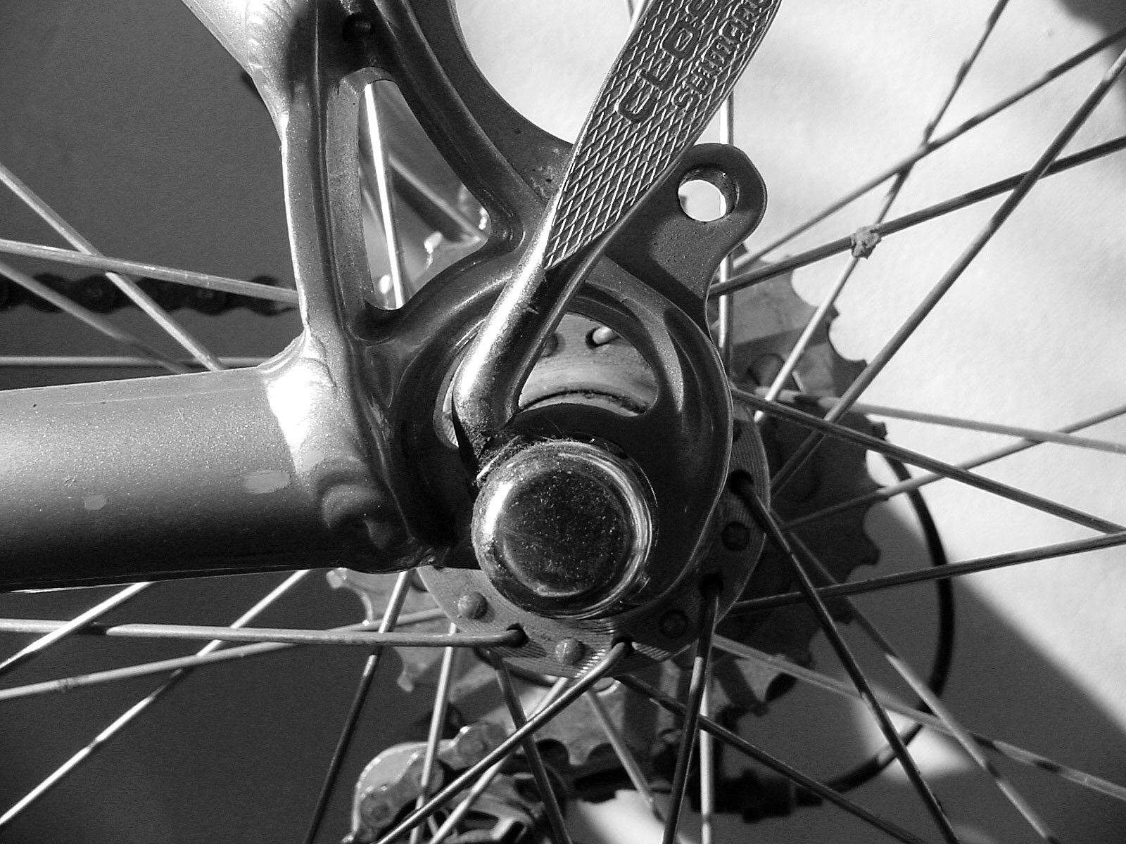 The Bike Workshop