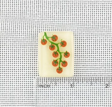 20260617_9788.jpg