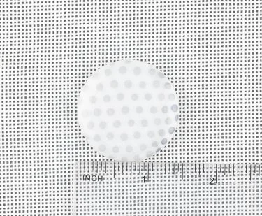 20260623_9805.jpg