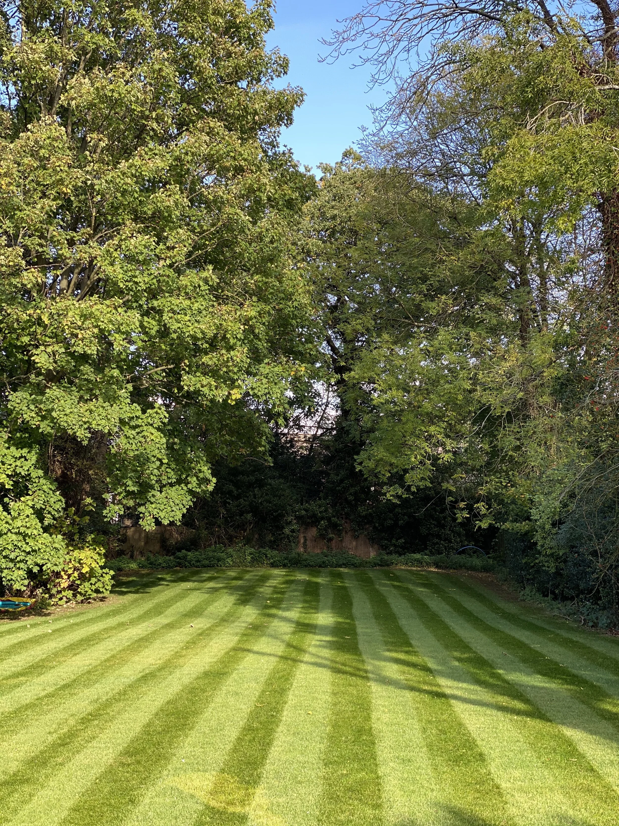 Questions, questions…