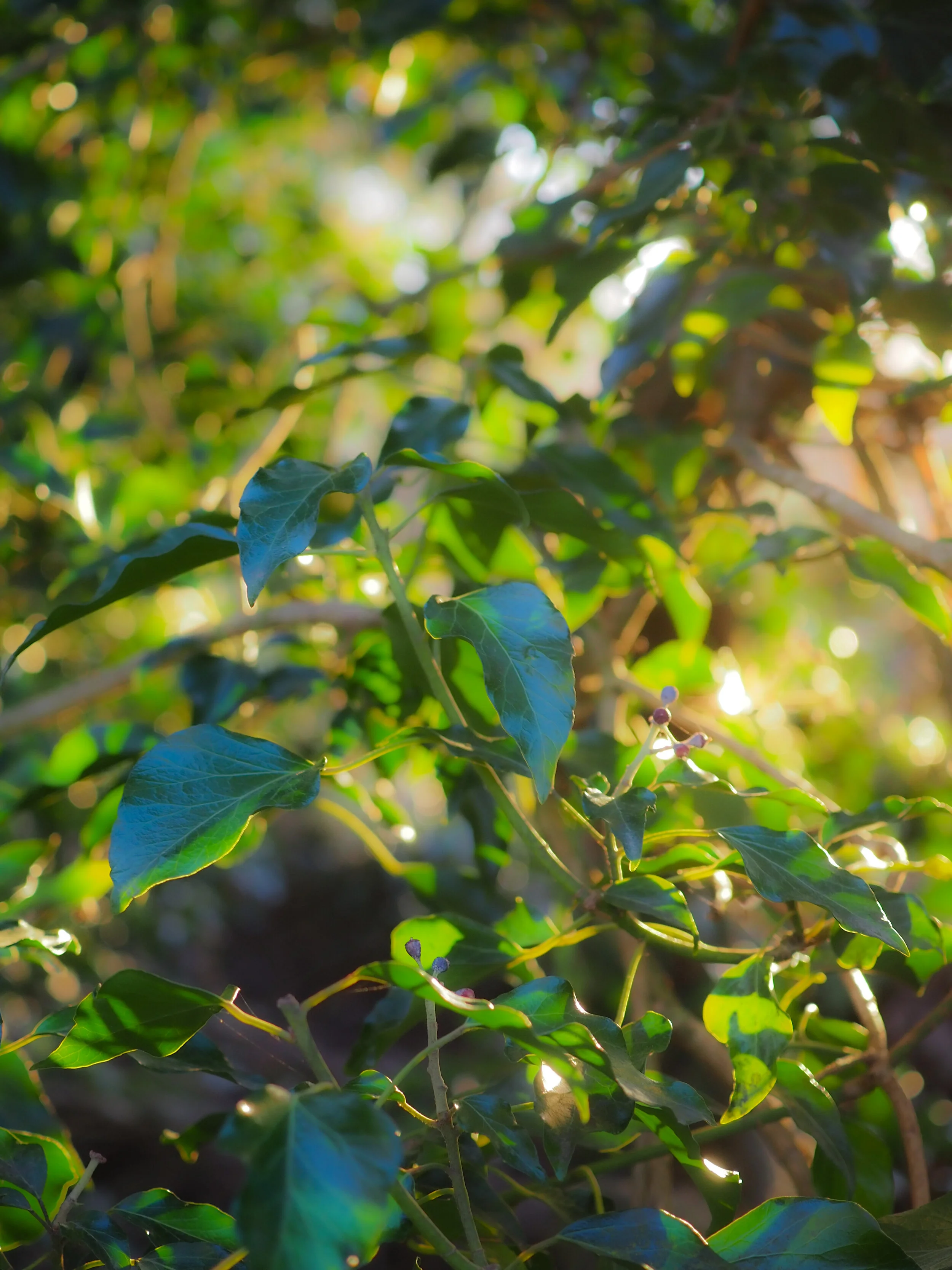 The grand scheme of things