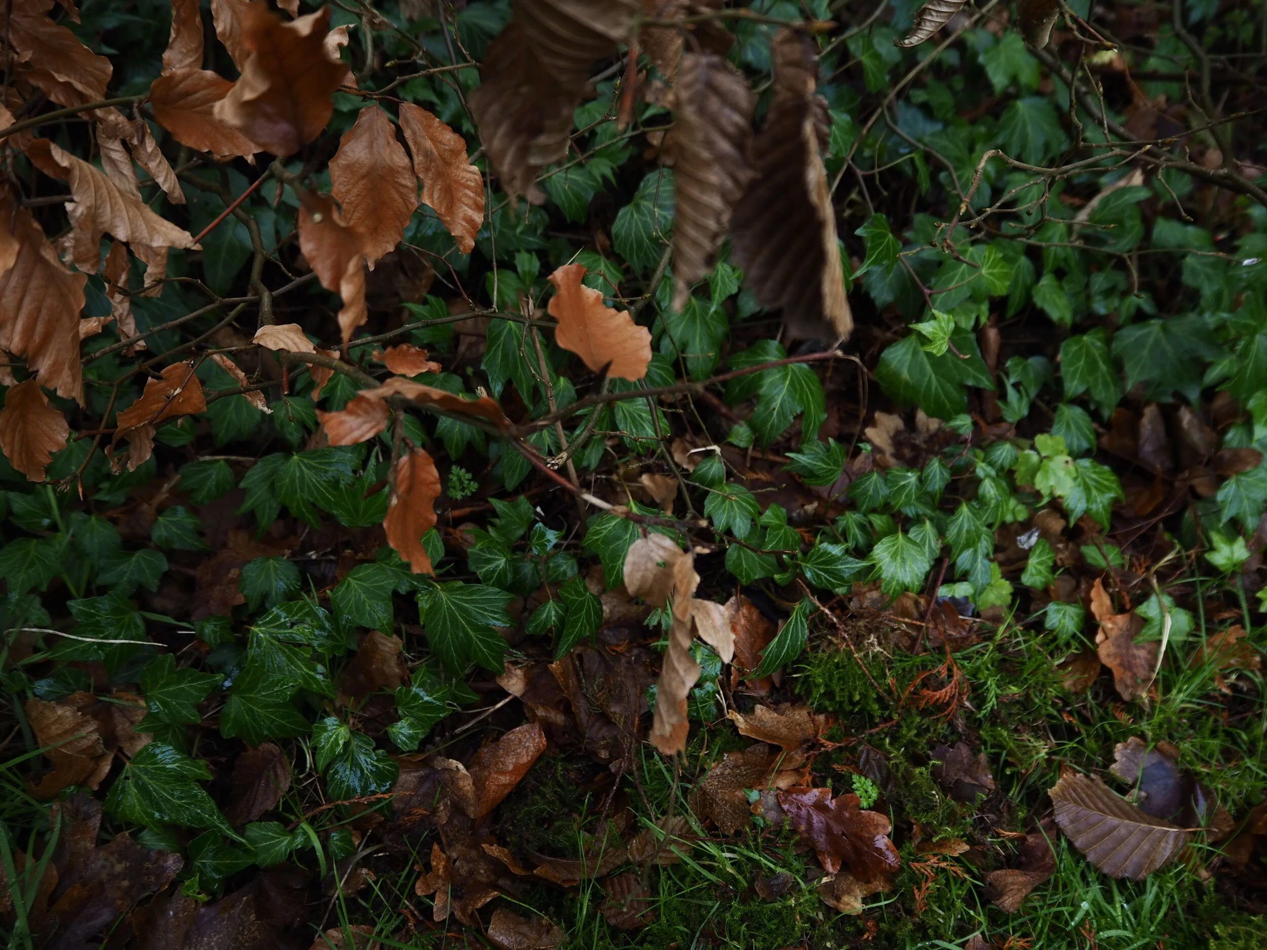 Beefing up the hedges