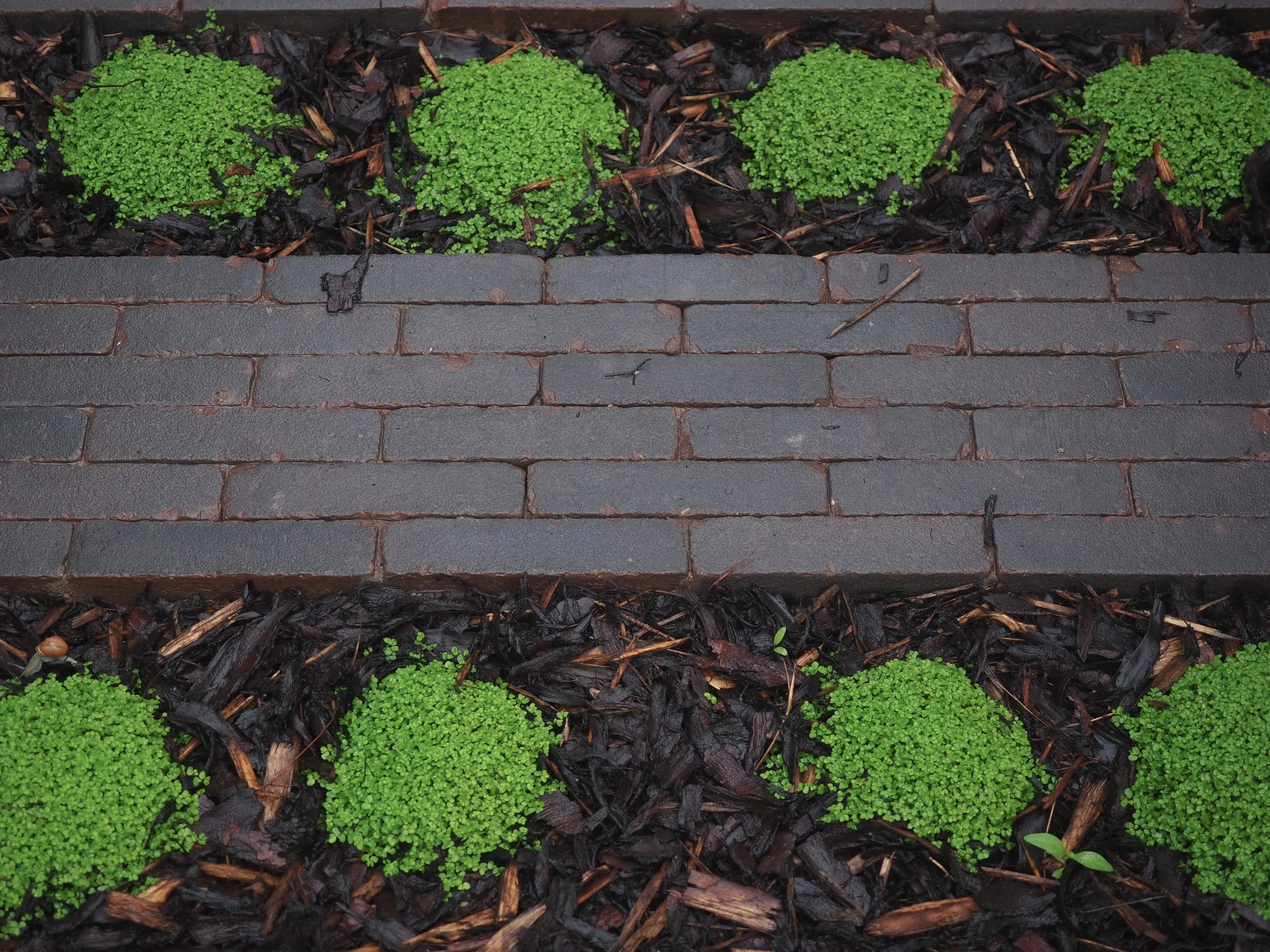 Mind your own business