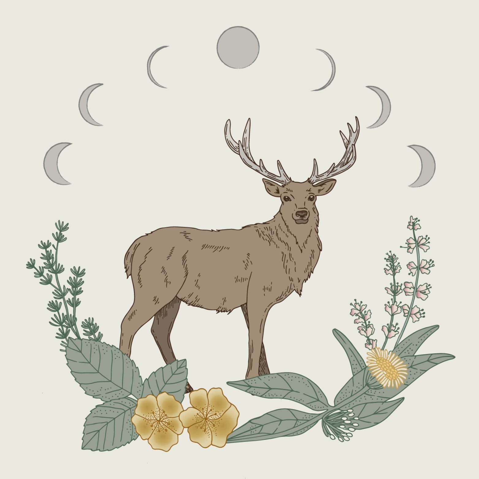 Wild Hart Gift Card