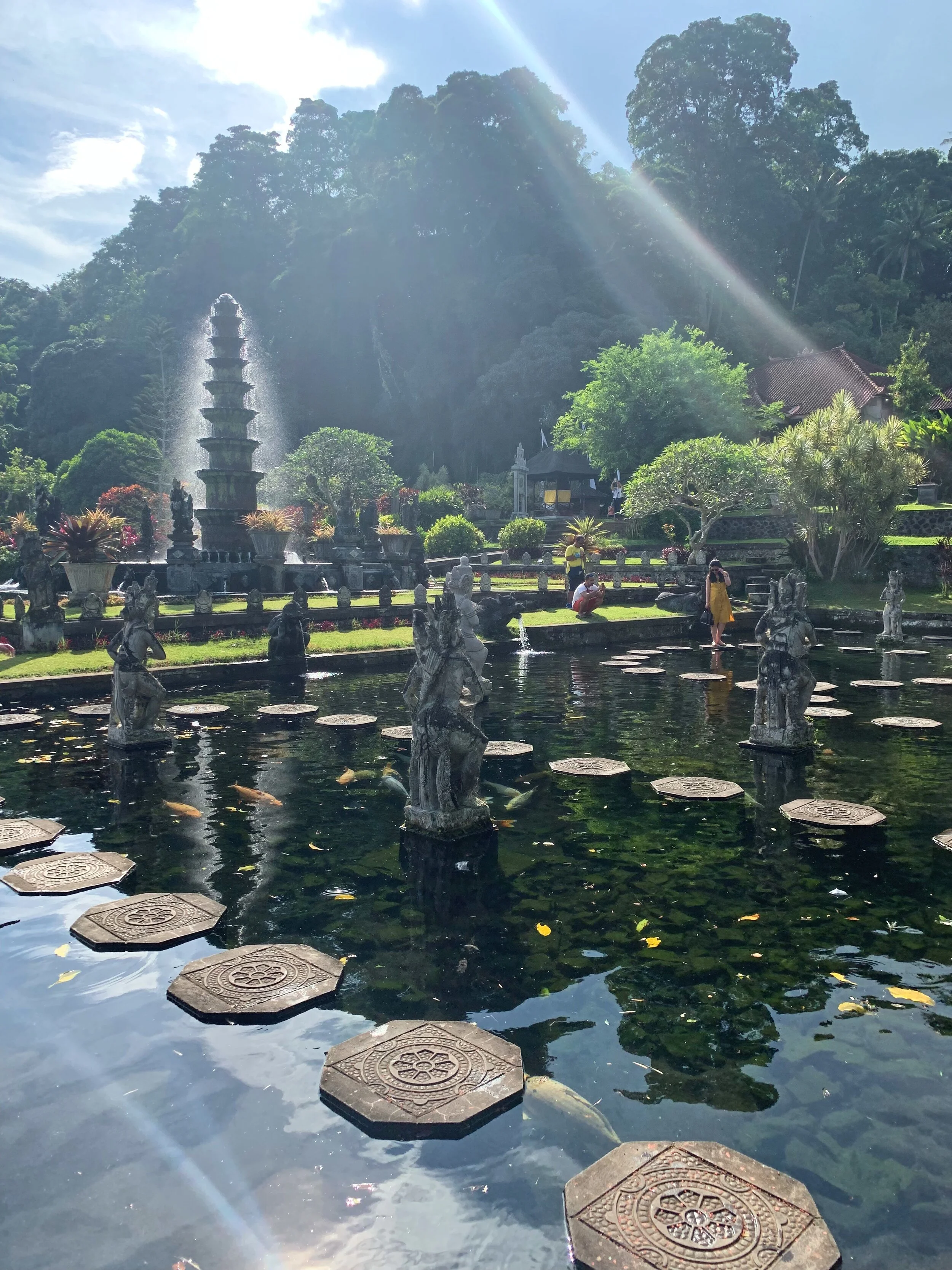 E88EE428-186D-41A6-ABD0-16AAE99D7A8C 4.JPG