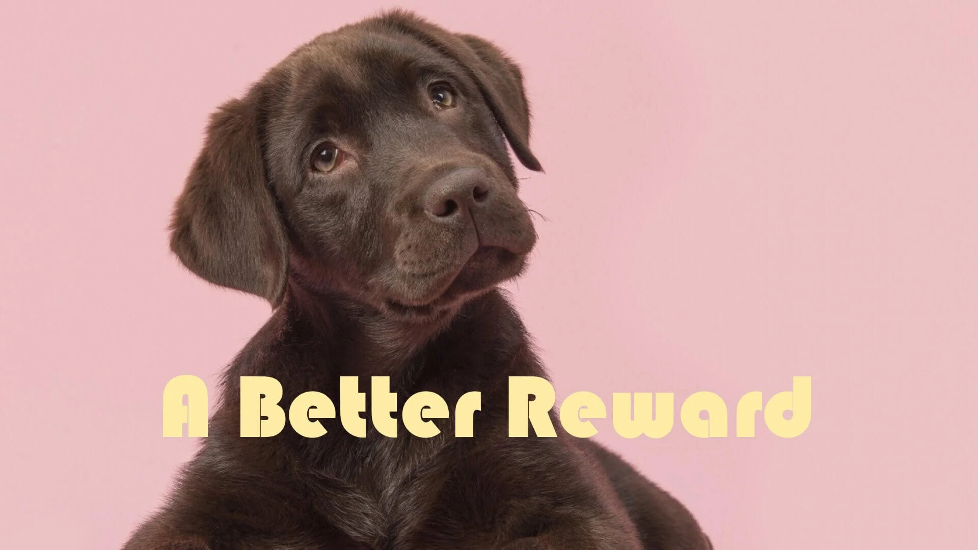 A Better Reward