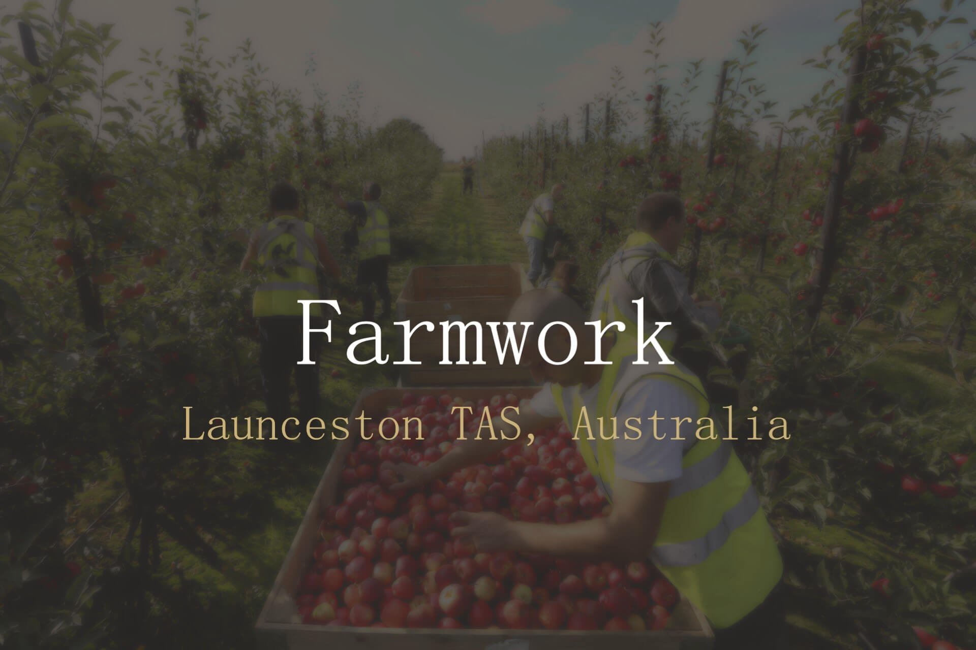 Farmwork - Launceston TAS
