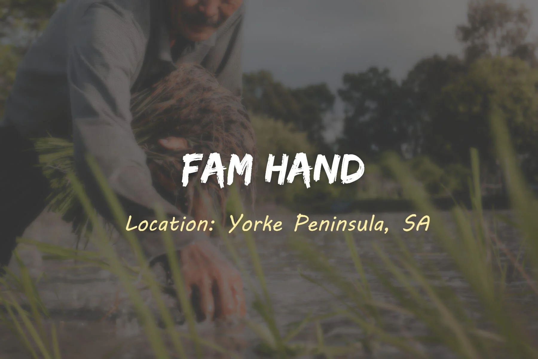 Farm Hand Job in Yorke Peninsula, SA