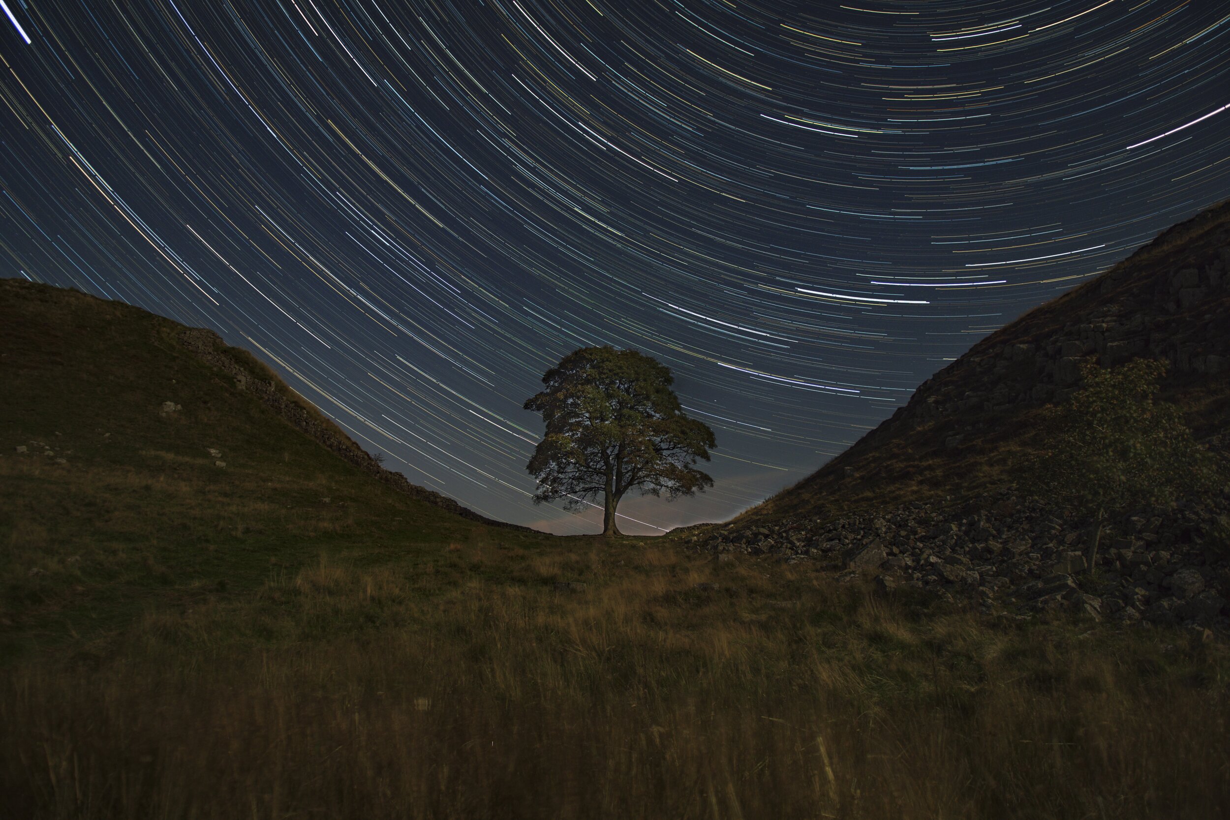 Sycamore Gap Star Trails - Canvas
