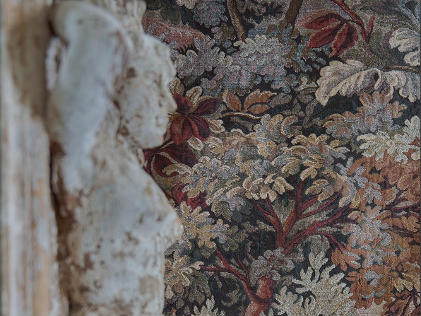 Tissu BOSCARA - Guell Lamadrid