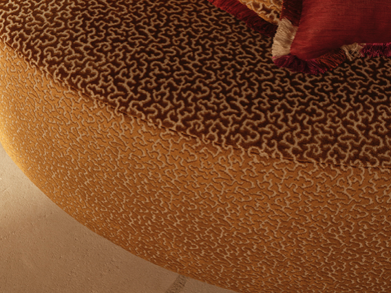 DRAGO - Manuel Canovas