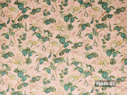 Capture d’écran 2026-01-18 à 11.58.21.png