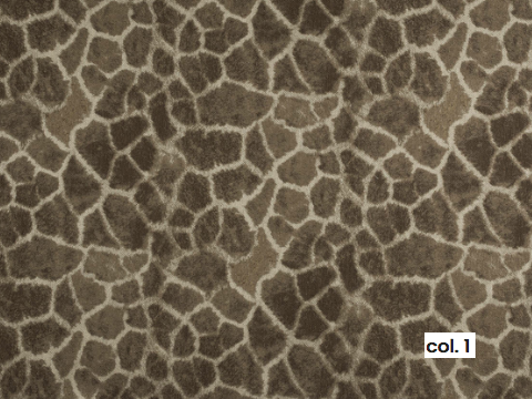 Capture d’écran 2026-01-31 à 12.46.48.png