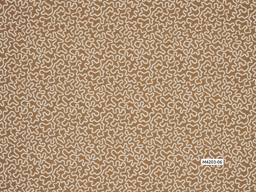 Capture d’écran 2026-02-14 à 11.33.30.png