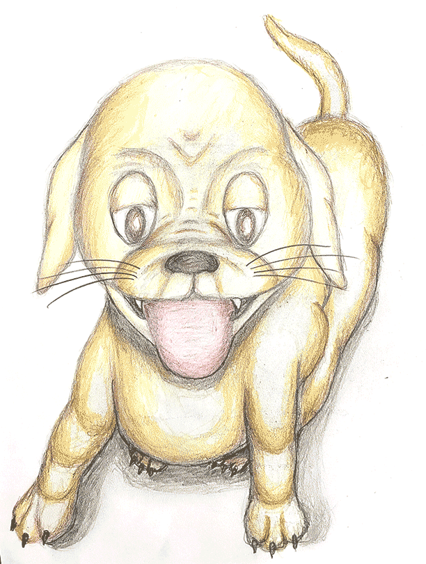 Drawing: Up, close and personal