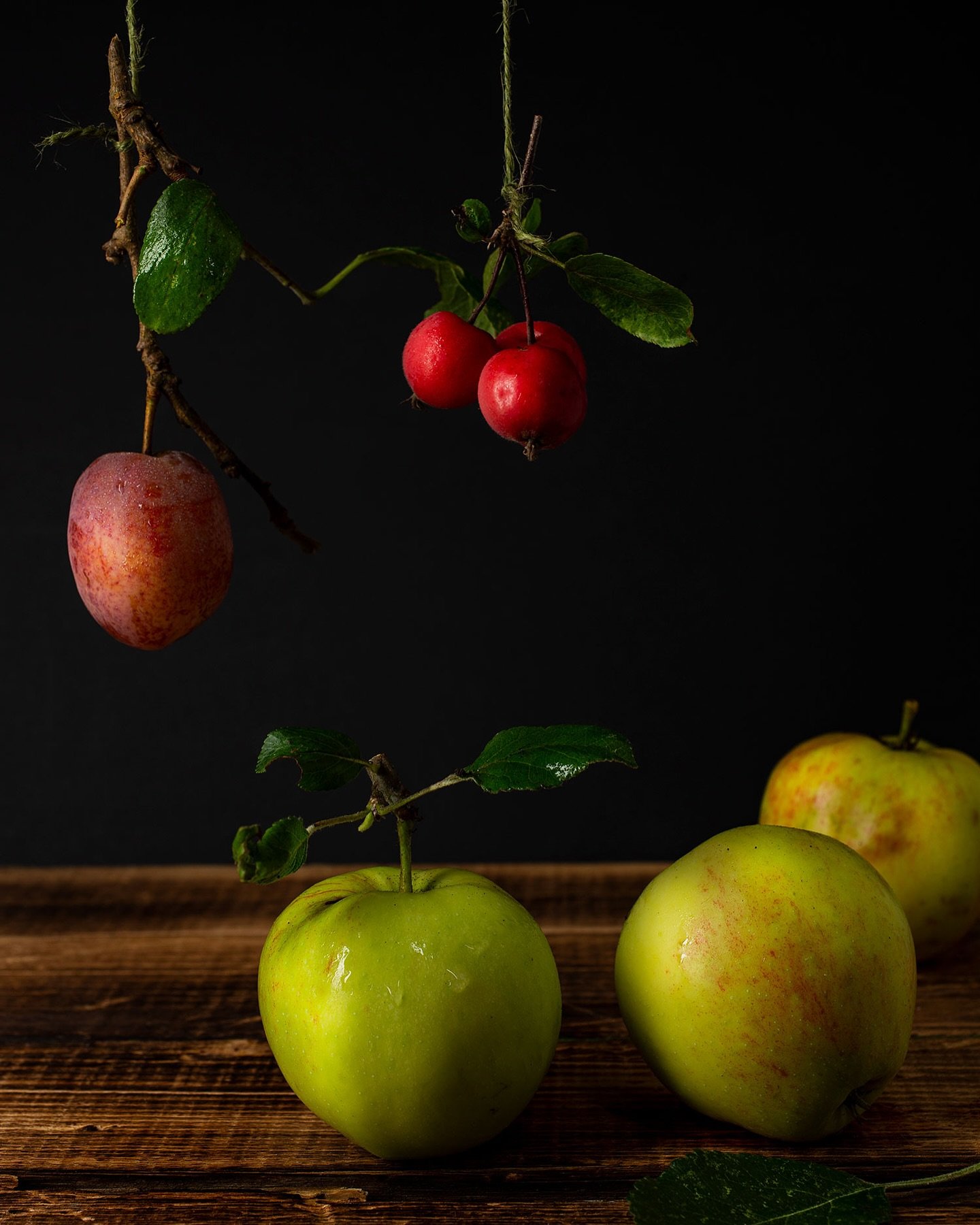 Before stepping into the world of food photography, I spent 15 years working as a photographic artist exploring image-making as both craft and expression. With a background in art history and photography, my journey has always been rooted in visual s