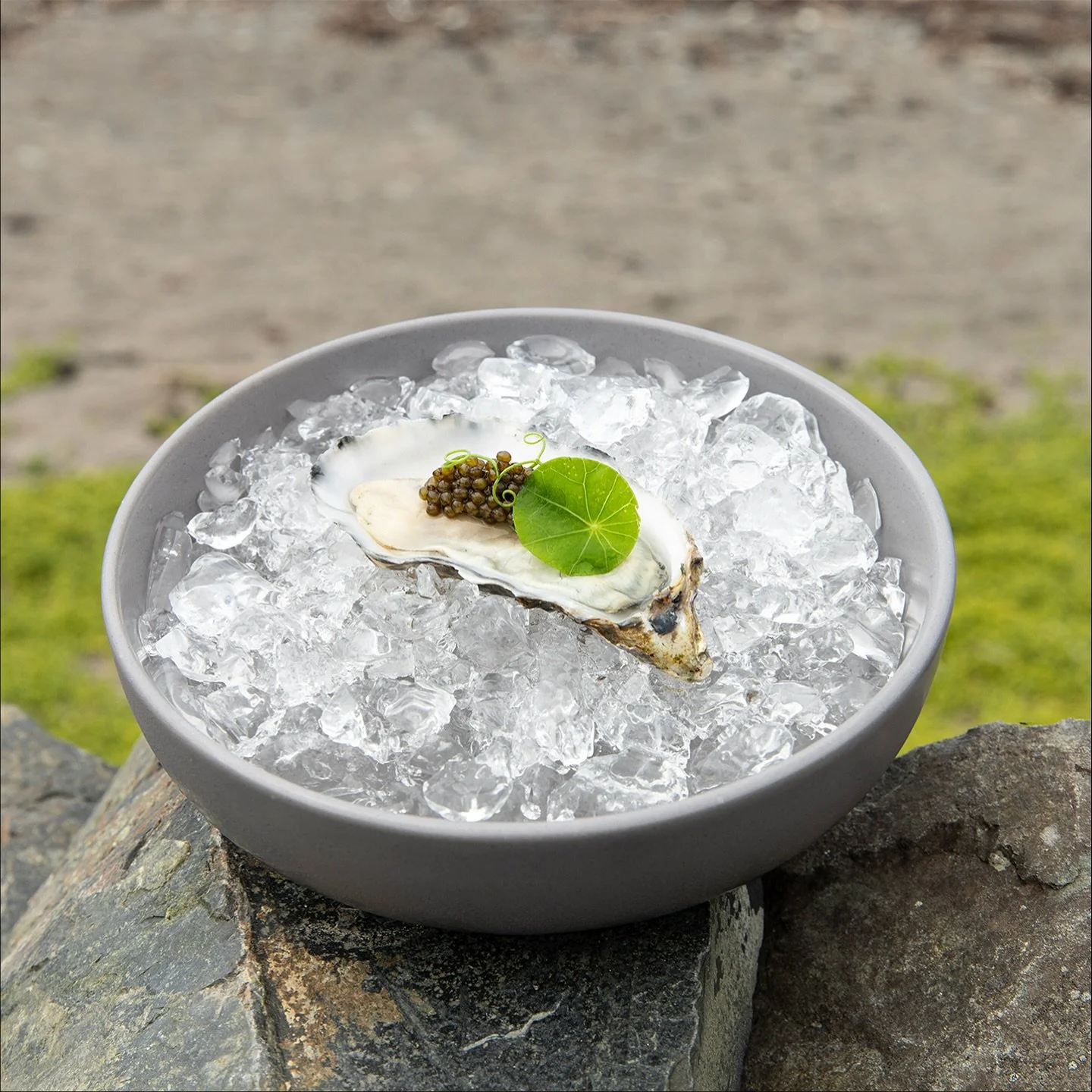 Did you attend Stranraer Oyster Festival? Its looks like an amazing event. I’ve never been able to make it, hopefully next year! 🦪 
 📷 Lolliography photoshoot at @knockinaamlodgehotel 🦪 
#oyster #stranraeroysterfestival #oystersfordays #sw